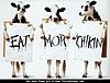 Click image for larger version

Name:	eat-mor-chikin.jpg
Views:	144
Size:	33.2 KB
ID:	96