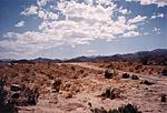 El desierto de Arizona