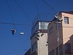 Shoes hanging over the street