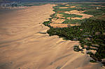 Peruvian coast 
 
El límite del desierto y los valles costeros. 
The limits of the desert and the coast valleys.