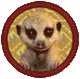 KSheldrick's Avatar