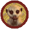 KSheldrick's Avatar