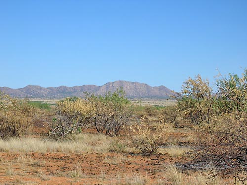 Otra foto del desierto cerca de mi casa