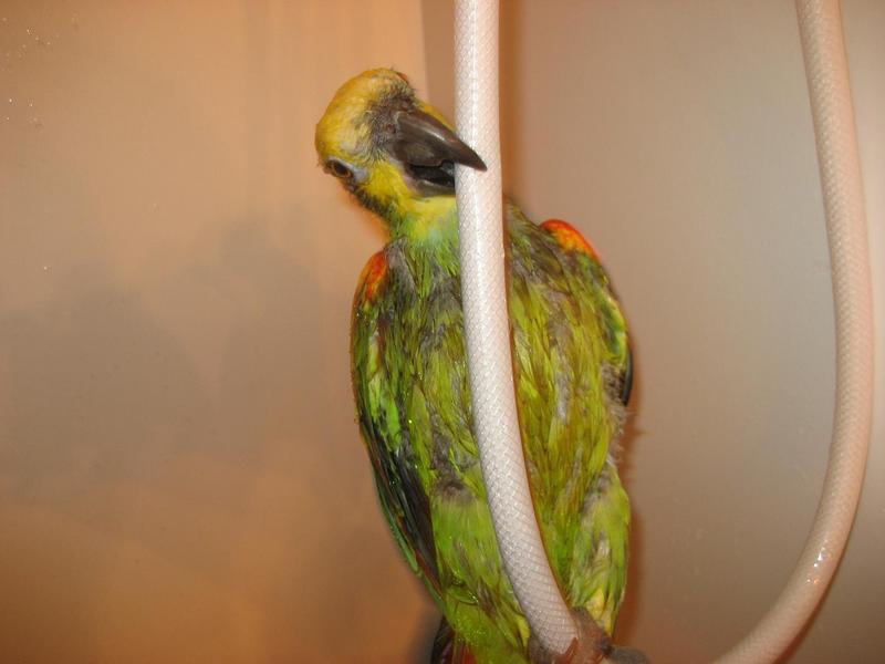 él está subiendo :D